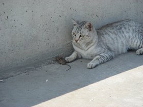 10-1001 İst (31).JPG